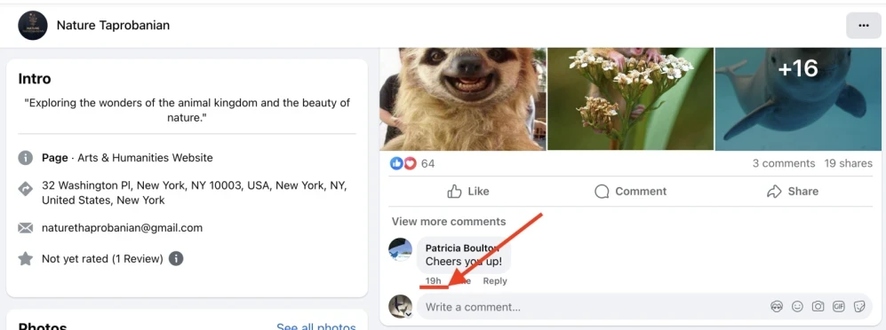 Facebook: like comment - 1