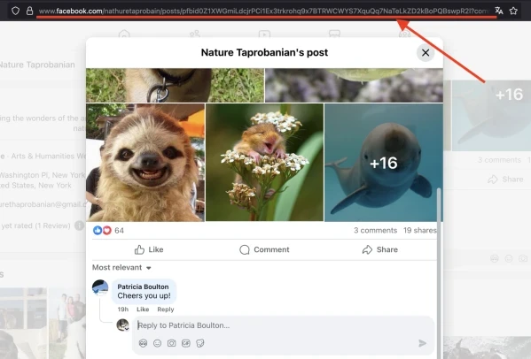 Facebook: like comment - 2