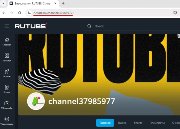RUTUBE: Buying Channel Subscribers - 1