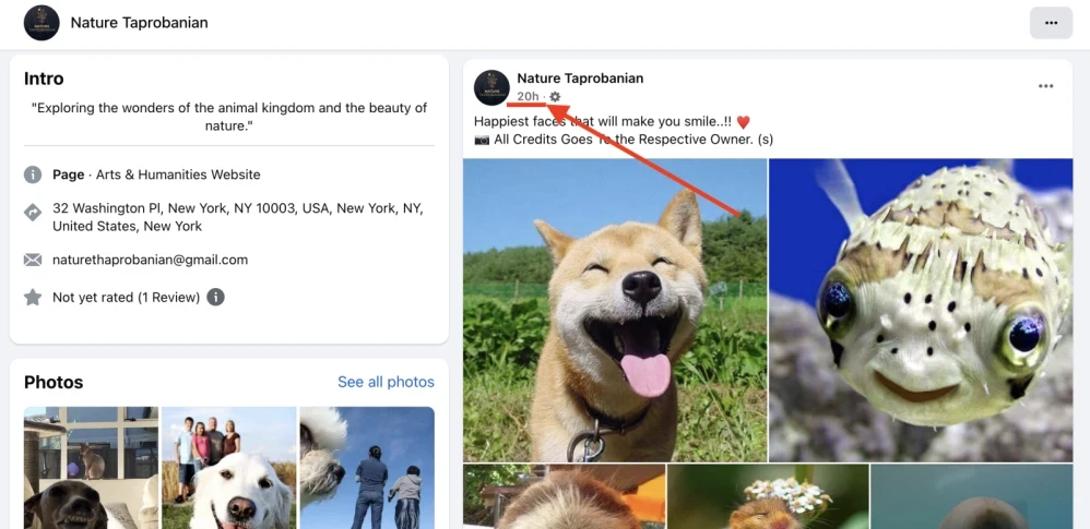 Facebook: write a comment - 1