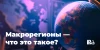 Макрорегионы — что это такое?