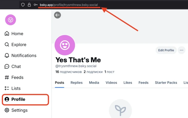 Bluesky: boosting subscribers - 1