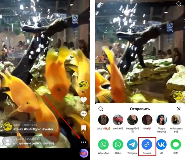 TikTok: watch video - 2