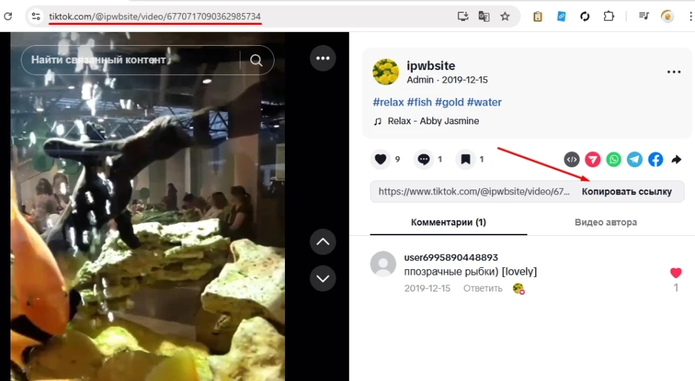 TikTok: add to favorites - 1