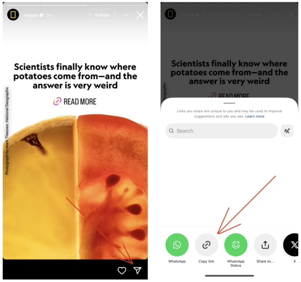 Instagram: boosting reactions to stories - 2