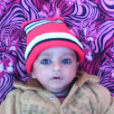 Naqvi