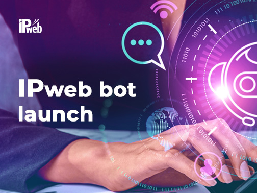 The IPweb bot launch